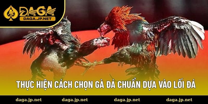 Hội viên xác định chiến kê xuất sắc bằng lối đá