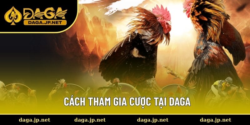 Cách tham gia cược tại DAGA