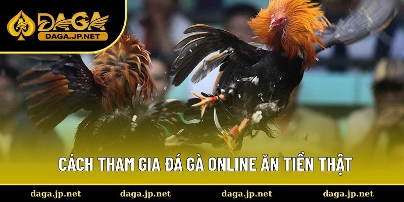 Cách tham gia đá gà online ăn tiền thật Cách tham gia đá gà online ăn tiền thật
