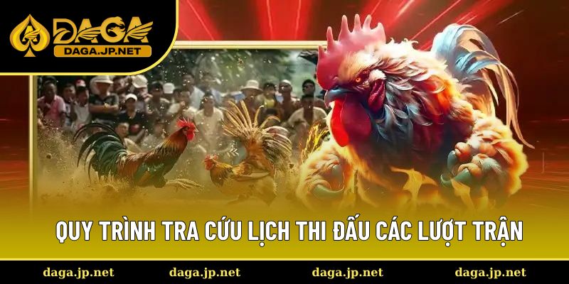 Quy trình tra cứu lịch thi đấu các lượt trận