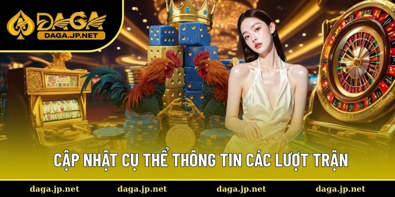 Các lượt trận đá gà trực tiếp chất lượng