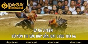 Đá Gà 3 Miền