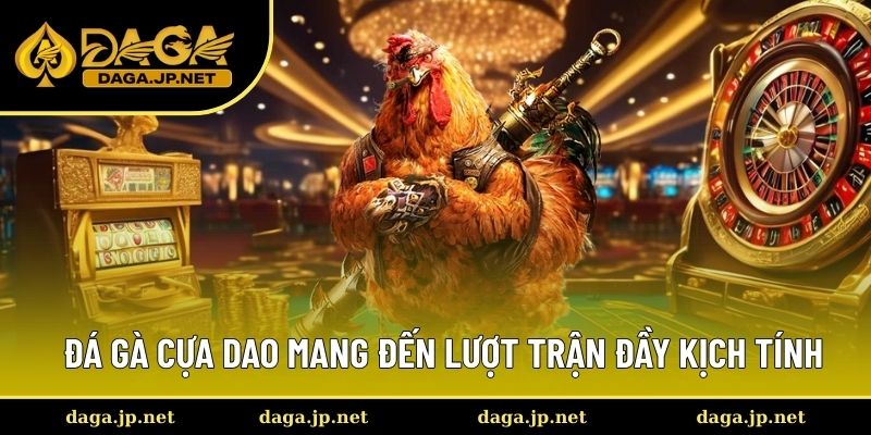Đá gà cựa dao mang đến lượt trận đầy kịch tính