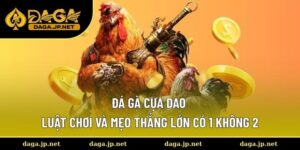 Đá gà cựa dao