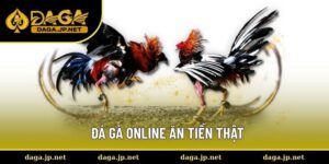 Đá gà online ăn tiền thật
