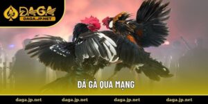 Đá gà qua mạng