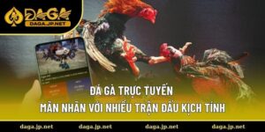 Đá Gà Trực Tuyến
