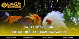 Đá Gà Truyền Thống