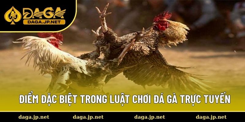 Điểm đặc biệt trong luật thi đấu đá gà
