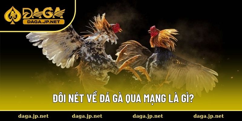 Đôi nét về đá gà qua mạng là gì?