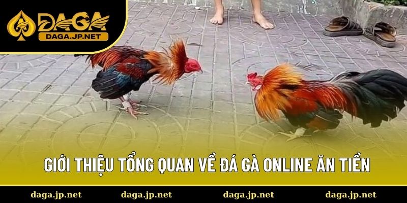Giới thiệu tổng quan về đá gà online ăn tiền Giới thiệu tổng quan về đá gà online ăn tiền
