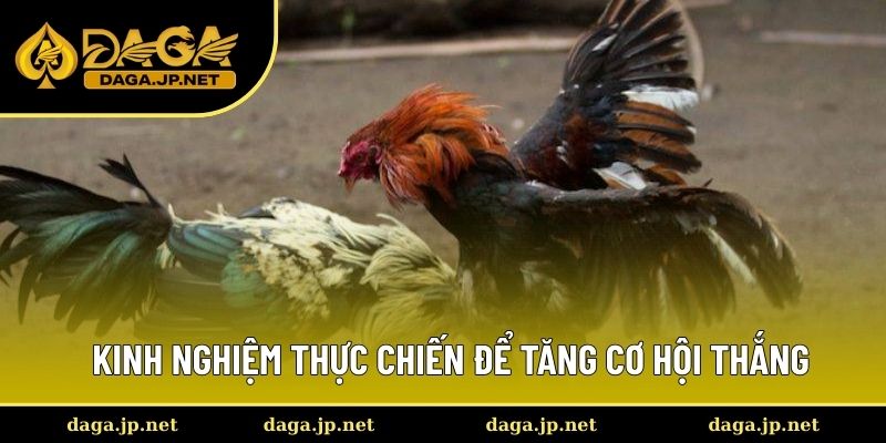 Kinh nghiệm thực chiến để tăng cơ hội thắng