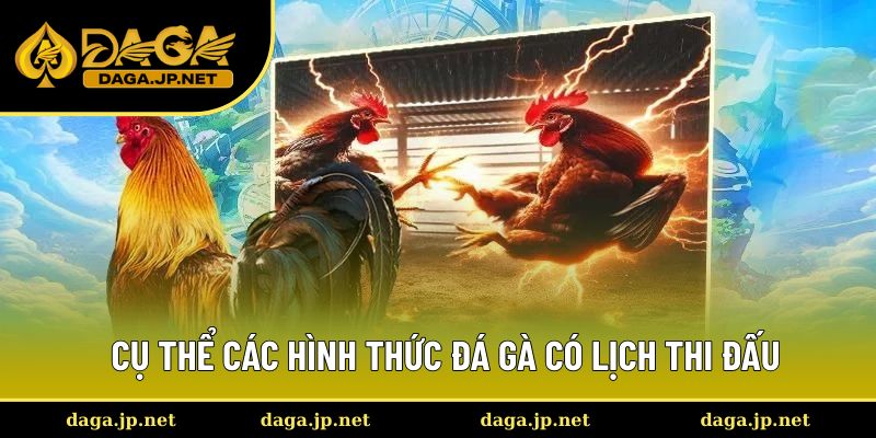 Cụ thể các hình thức đá gà có lịch thi đấu