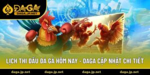 Lịch thi đấu đá gà hôm nay