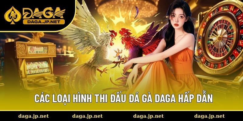 Những hình thức đá gà cực được yêu thích tại DAGA