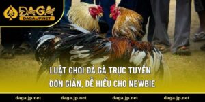 luật chơi đá gà trực tuyến