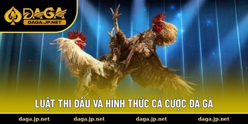 Luật thi đấu và hình thức cá cược đá gà