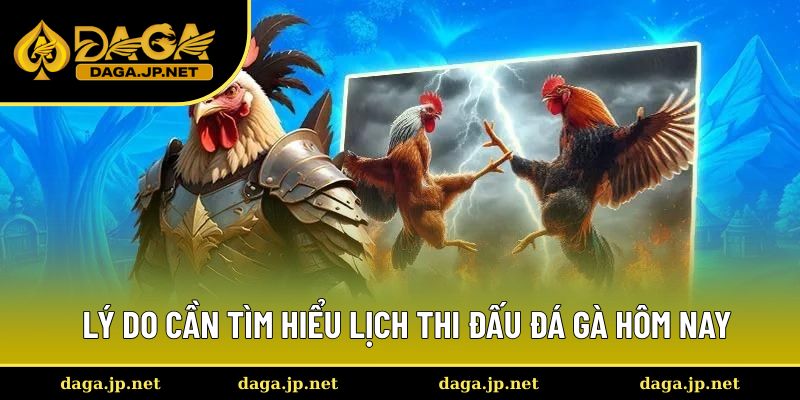 Lý do cần tìm hiểu lịch thi đấu đá gà hôm nay