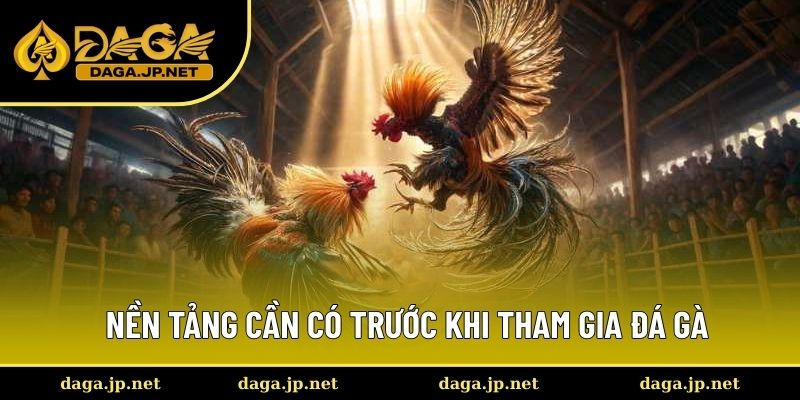 Nền tảng cần có trước khi tham gia đá gà