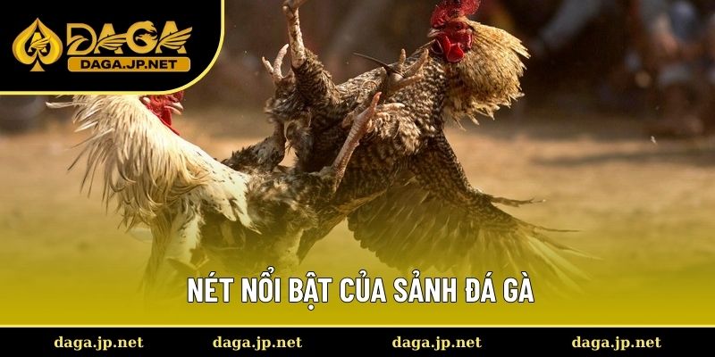 Ưu điểm nổi bật thu hút khách hàng