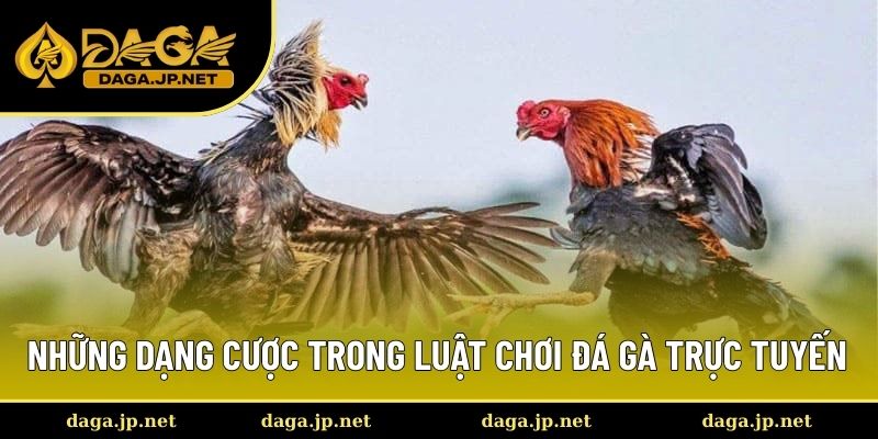 Những dạng cược trong luật thi đấu hấp dẫn