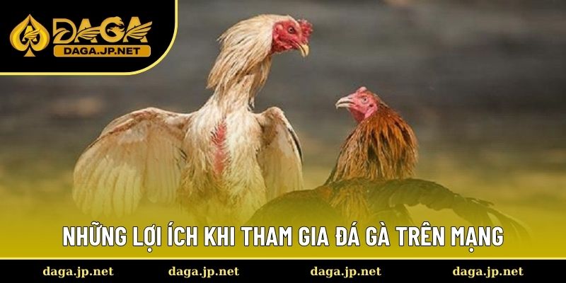 Những lợi ích khi tham gia đá gà trên mạng