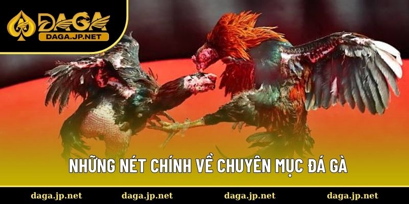 Giới thiệu về cá cược đá gà online
