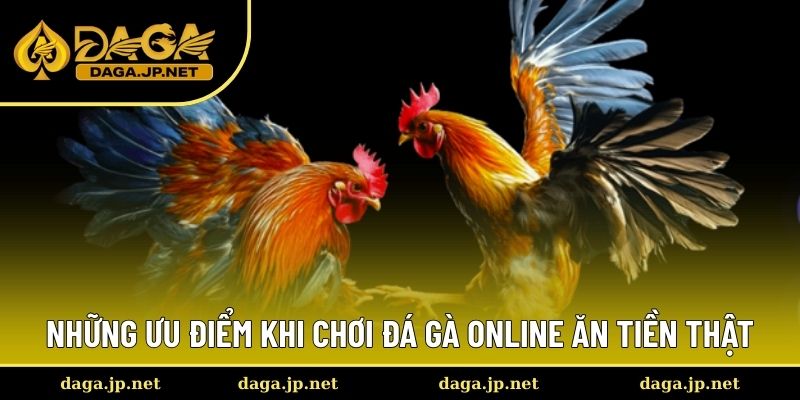 Những ưu điểm khi chơi đá gà online ăn tiền thật Những ưu điểm khi chơi đá gà online ăn tiền thật
