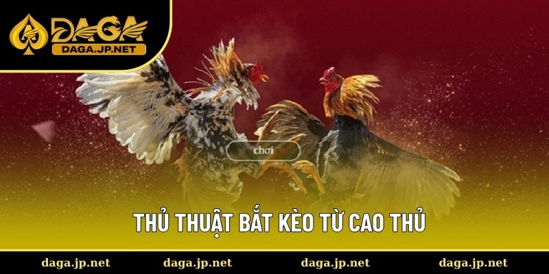 Thủ thuật bắt kèo từ cao thủ