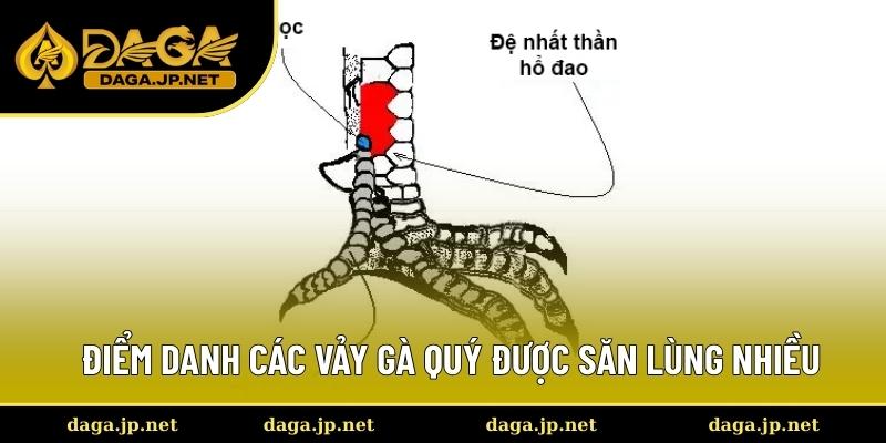 Giới thiệu các loại vảy gà đá quý hiếm nhất
