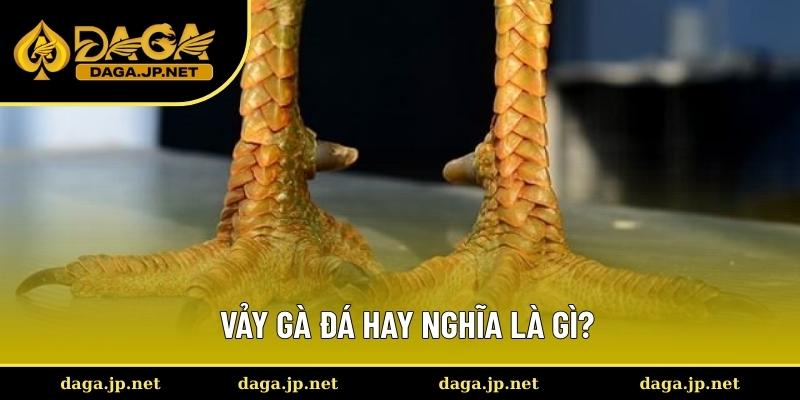 Định nghĩa về vảy gà đá hay