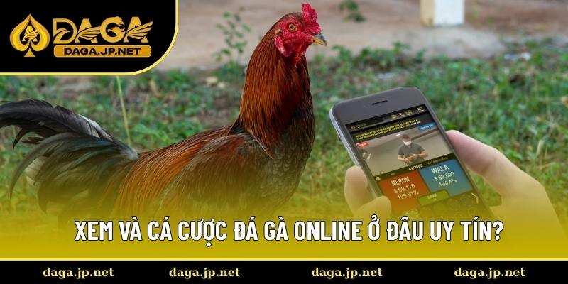 Nơi xem và cá cược đá gà online đáng tin cậy